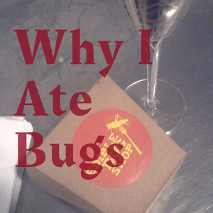 Why I Ate Bugs cover image.